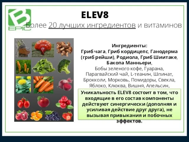 ELEV8 Более 20 лучших ингредиентов и витаминов Ингредиенты: Гриб чага,