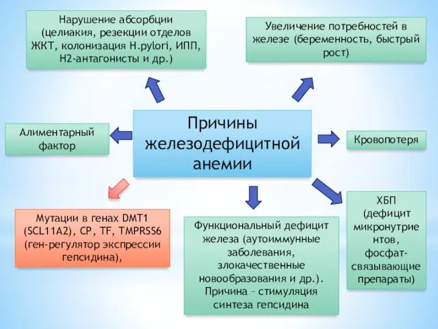 Причины железодефицитной анемии Нарушение абсорбции (целиакия, резекции отделов ЖКТ, колонизация