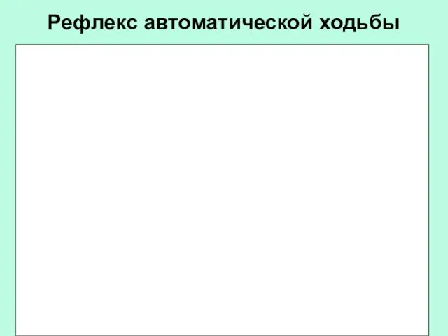 Рефлекс автоматической ходьбы