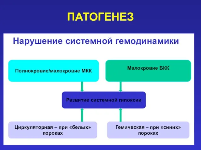 ПАТОГЕНЕЗ Нарушение системной гемодинамики Полнокровие/малокровие МКК Малокровие БКК Развитие системной