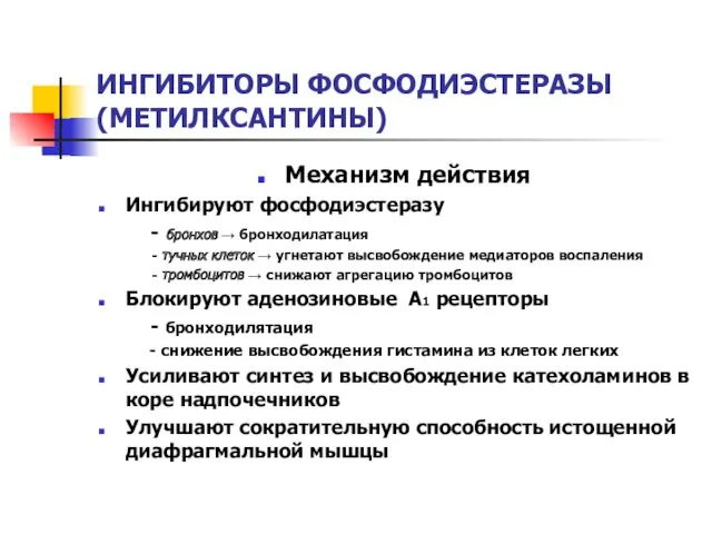 ИНГИБИТОРЫ ФОСФОДИЭСТЕРАЗЫ (МЕТИЛКСАНТИНЫ) Механизм действия Ингибируют фосфодиэстеразу - бронхов → бронходилатация - тучных