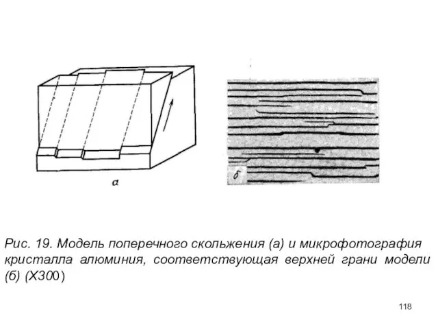 Рис. 19. Модель поперечного скольжения (а) и микрофотография кристалла алюминия, соответствующая верхней грани модели (б) (Х300)