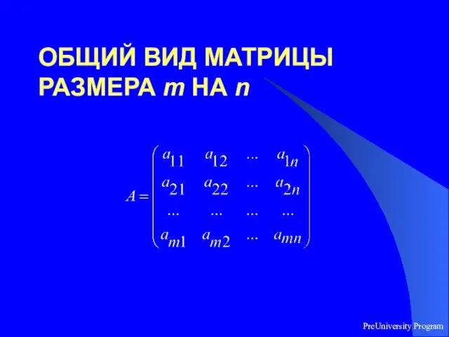 PreUniversity Program ОБЩИЙ ВИД МАТРИЦЫ РАЗМЕРА m НА n