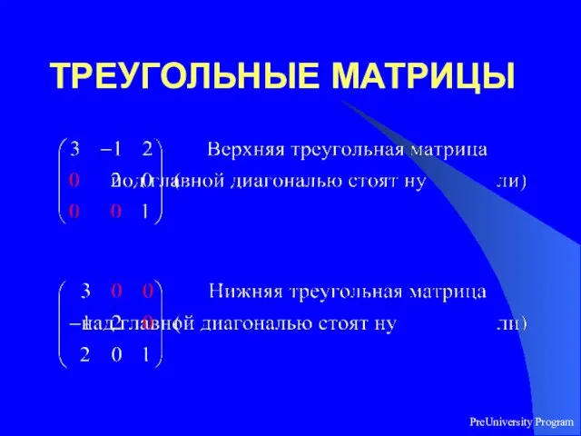 PreUniversity Program ТРЕУГОЛЬНЫЕ МАТРИЦЫ