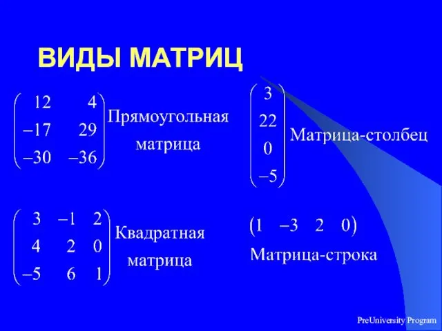 PreUniversity Program ВИДЫ МАТРИЦ