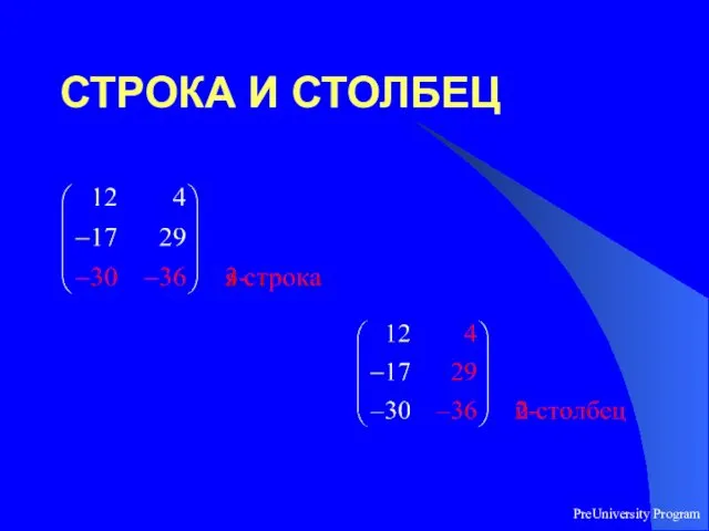 PreUniversity Program СТРОКА И СТОЛБЕЦ