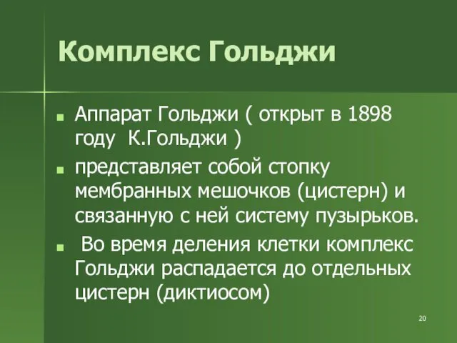 Комплекс Гольджи Аппарат Гольджи ( открыт в 1898 году К.Гольджи