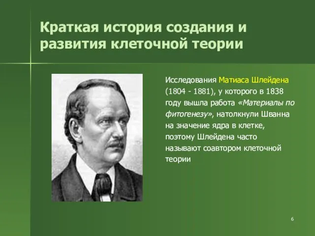 Краткая история создания и развития клеточной теории Исследования Матиаса Шлейдена