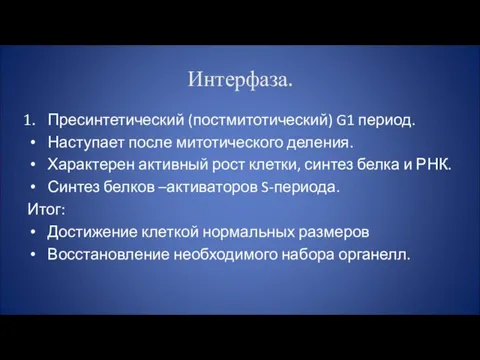 Интерфаза. Пресинтетический (постмитотический) G1 период. Наступает после митотического деления. Характерен