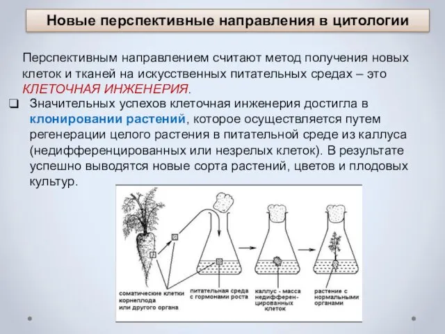 Новые перспективные направления в цитологии Перспективным направлением считают метод получения