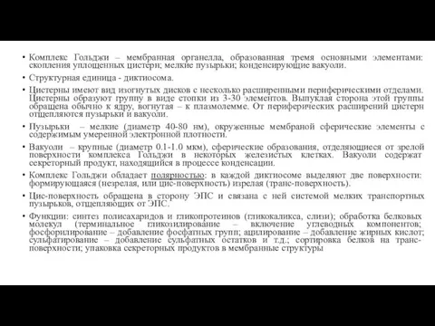 Комплекс Гольджи – мембранная органелла, образованная тремя основными элементами: скопления уплощенных цистерн; мелкие