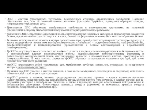 ЭПС – система уплощенных, трубчатых, везикулярных структур, ограниченных мембраной. Название обусловлено тем, что