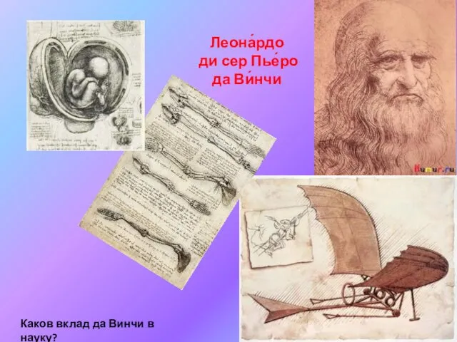 Леона́рдо ди сер Пье́ро да Ви́нчи Каков вклад да Винчи в науку?