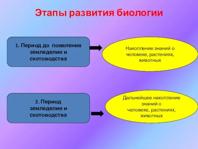 Этапы развития биологии 1. Период до появления земледелия и скотоводства Накопление знаний о