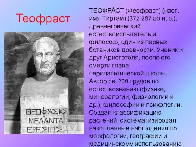 Теофраст ТЕОФРА́СТ (Феофраст) (наст. имя Тиртам) (372-287 до н. э.), древнегреческий естествоиспытатель и