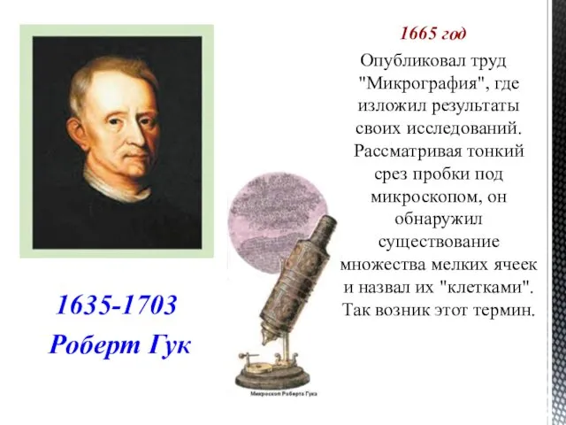 1665 год Опубликовал труд "Микрография", где изложил результаты своих исследований.