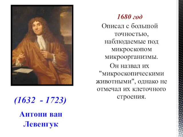 Антони ван Левенгук 1680 год Описал с большой точностью, наблюдаемые