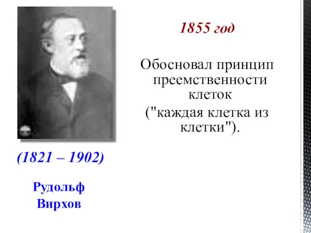 Рудольф Вирхов 1855 год Обосновал принцип преемственности клеток ("каждая клетка из клетки"). (1821 – 1902)