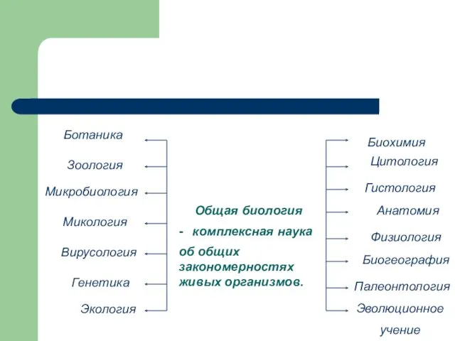 Общая биология Ботаника Зоология Микробиология Микология Вирусология Биохимия Цитология Гистология