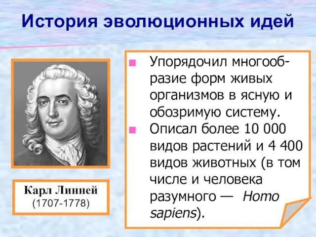 Упорядочил многооб-разие форм живых организмов в ясную и обозримую систему.