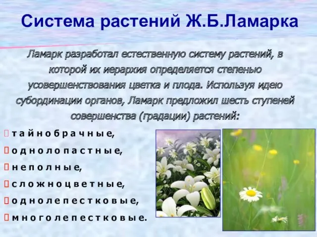 Система растений Ж.Б.Ламарка Ламарк разработал естественную систему растений, в которой