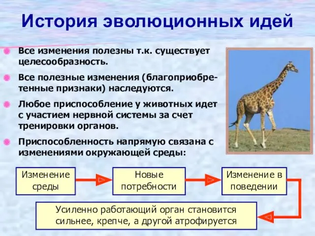 История эволюционных идей Все изменения полезны т.к. существует целесообразность. Все