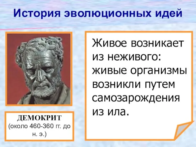 Живое возникает из неживого: живые организмы возникли путем самозарождения из