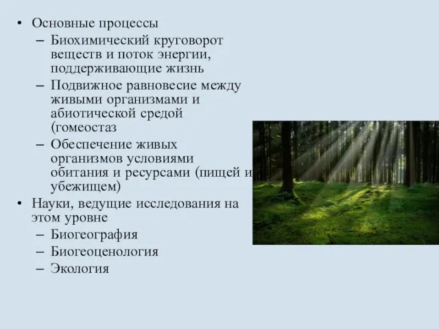 Основные процессы Биохимический круговорот веществ и поток энергии, поддерживающие жизнь