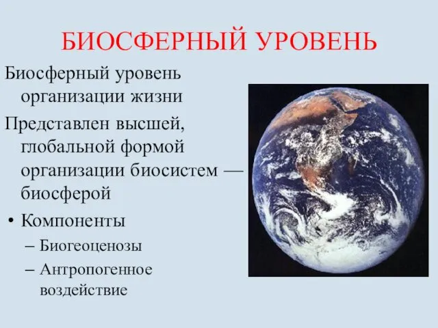 БИОСФЕРНЫЙ УРОВЕНЬ Биосферный уровень организации жизни Представлен высшей, глобальной формой