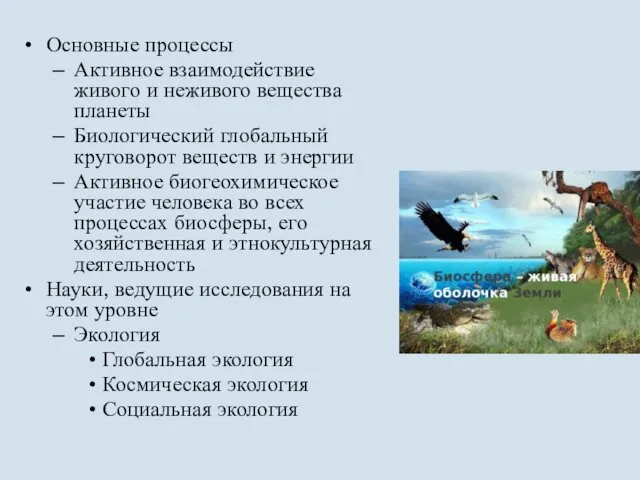 Основные процессы Активное взаимодействие живого и неживого вещества планеты Биологический