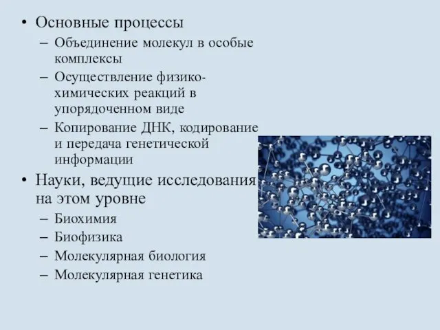 Основные процессы Объединение молекул в особые комплексы Осуществление физико-химических реакций