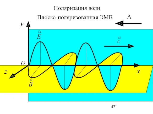 А Плоско-поляризованная ЭМВ Поляризация волн