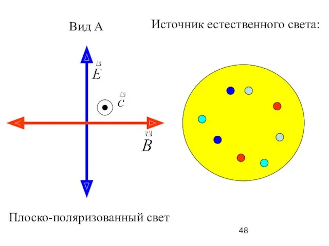 Вид А Плоско-поляризованный свет Источник естественного света: