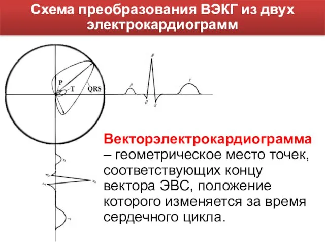 Схема преобразования ВЭКГ из двух электрокардиограмм Векторэлектрокардиограмма – геометрическое место точек, соответствующих концу