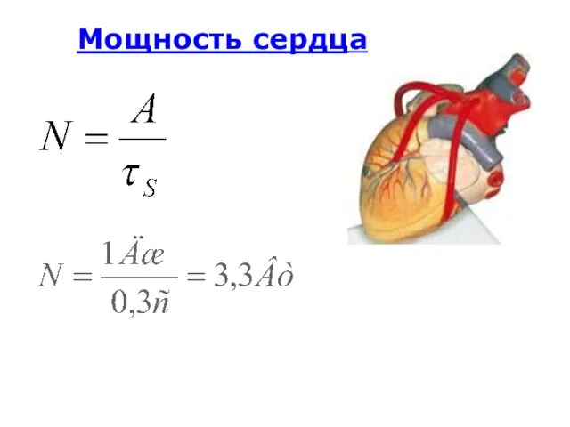 Мощность сердца