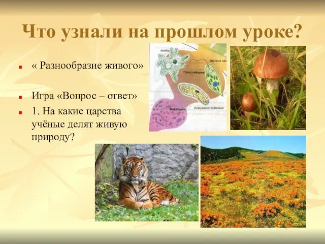 Что узнали на прошлом уроке? « Разнообразие живого» Игра «Вопрос