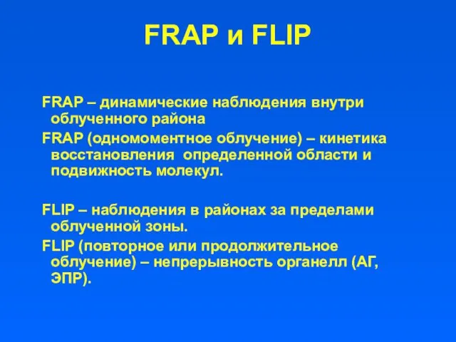 FRAP и FLIP FRAP – динамические наблюдения внутри облученного района