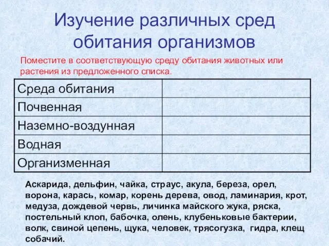 Изучение различных сред обитания организмов Аскарида, дельфин, чайка, страус, акула,