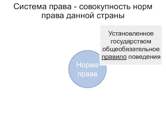 Система права - совокупность норм права данной страны Норма права Установленное государством общеобязательное правило поведения