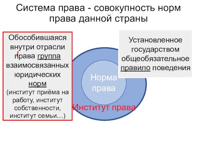 Система права - совокупность норм права данной страны Норма права