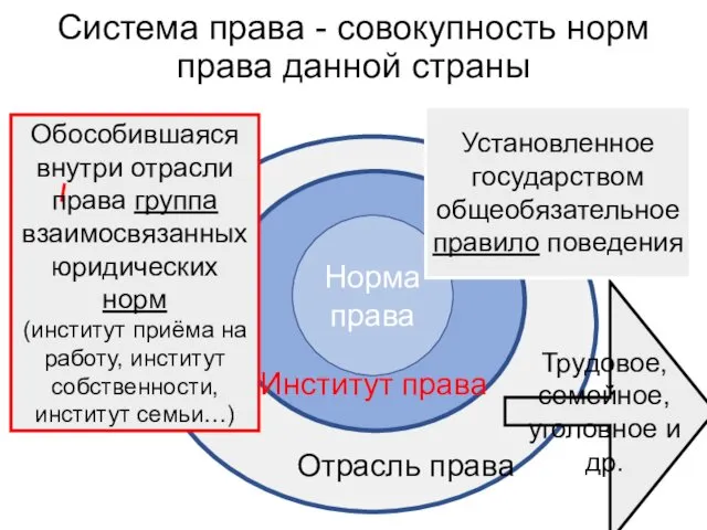 Система права - совокупность норм права данной страны Норма права