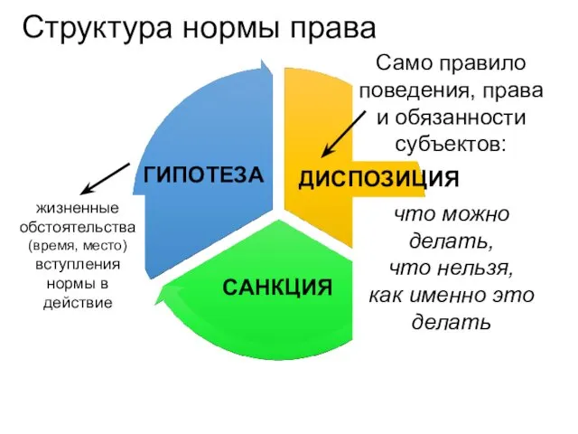 Структура нормы права ДИСПОЗИЦИЯ ГИПОТЕЗА САНКЦИЯ жизненные обстоятельства (время, место)