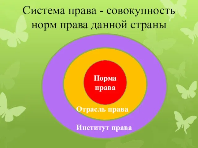 Система права - совокупность норм права данной страны Норма права Институт права Отрасль права