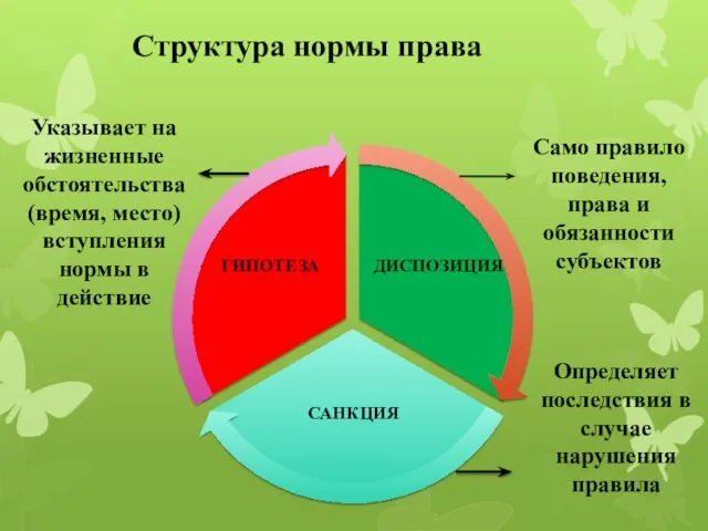 Структура нормы права Указывает на жизненные обстоятельства (время, место) вступления