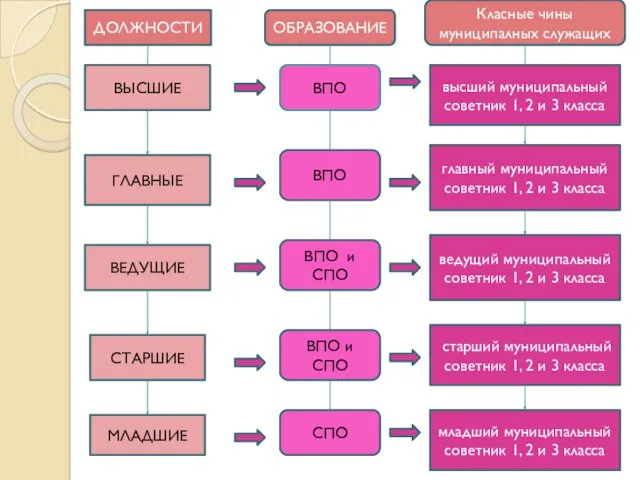 ВЫСШИЕ ГЛАВНЫЕ ВЕДУЩИЕ СТАРШИЕ МЛАДШИЕ ВПО ВПО ВПО и СПО