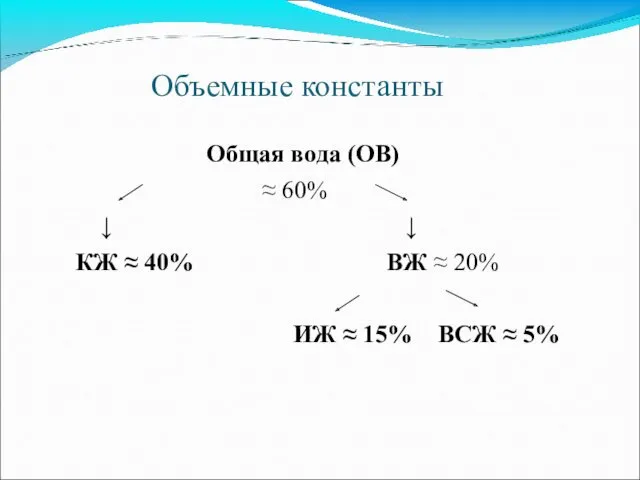 Объемные константы Общая вода (ОВ) ≈ 60% ↓ ↓ КЖ