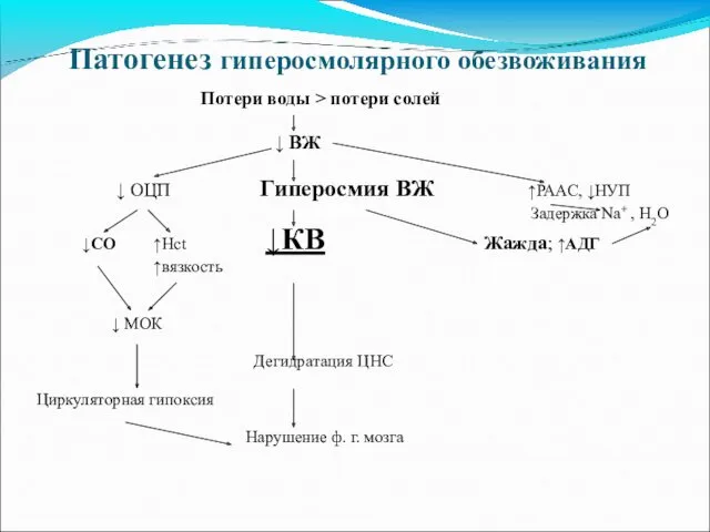 Патогенез гиперосмолярного обезвоживания Потери воды > потери солей ↓ ВЖ