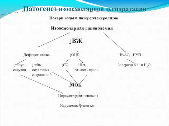 Патогенез изоосмолярной дегидратации Потери воды ≈ потере электролитов ↓ Изоосмолярная