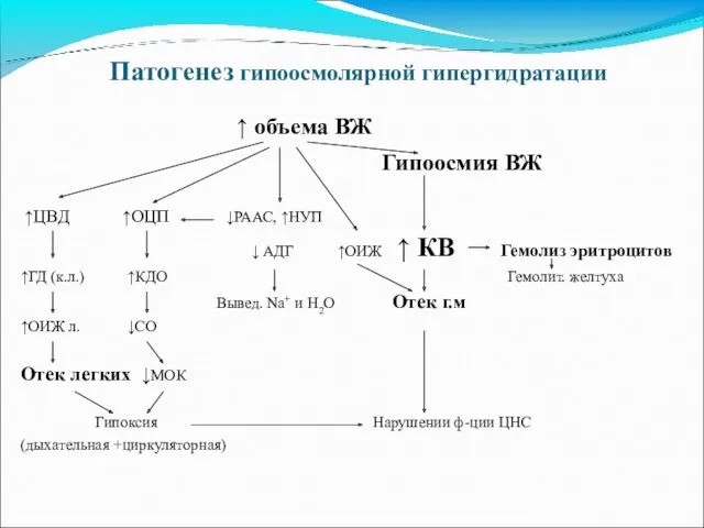 Патогенез гипоосмолярной гипергидратации ↑ объема ВЖ Гипоосмия ВЖ ↑ЦВД ↑ОЦП