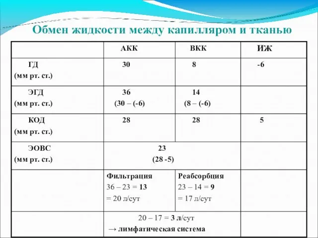 Обмен жидкости между капилляром и тканью